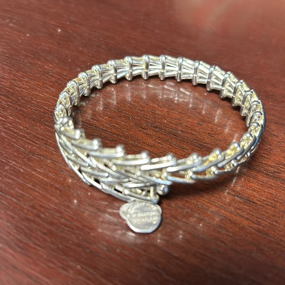 Alex and Ani Silver Bracelet Bangle - Picture 1 of 6